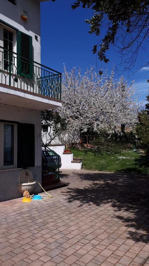 Appartement Il Ciliegio Del Pellegrino à Gubbio Extérieur photo