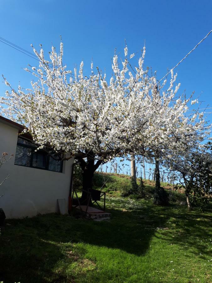 Appartement Il Ciliegio Del Pellegrino à Gubbio Extérieur photo